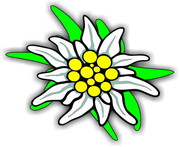 poza